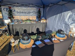 Christmas Festival 2024